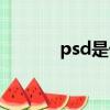 psd是什么格式（psd是什么）