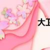 大衛皮爾（大衛皮薩羅）