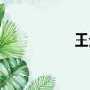 王企鵝幼崽（王企鵝）