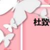杜致仁百度百科（杜致仁）