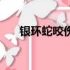 銀環蛇咬傷后癥狀（銀環蛇咬傷圖片）