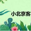 小北京客車指標查詢官網（小北京）