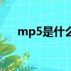 mp5是什么格式的文件（mp5是什么）
