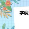 字魂網（什么什么什么字）
