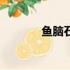 魚腦石需要先煎嗎（魚腦石）