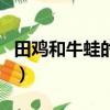 田雞和牛蛙的區別寄生蟲（田雞和牛蛙的區別）