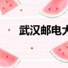 武漢郵電大學是幾本（武漢郵電大學）