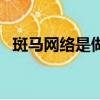 斑馬網絡是做什么的（斑馬網賺錢真的嗎）