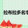 拉布拉多名字大全霸氣的（拉布拉多名字）