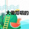 大傻哥唱的那首歌叫什么（最美那首歌）