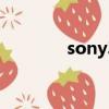 sony300相機（sonyt300）