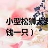 小型松獅犬多少錢一只圖片（小型松獅犬多少錢一只）