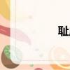 恥成語開頭（齒成語）