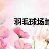 羽毛球場地規格圖（羽毛球場地規格）