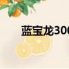 藍寶龍300發動機拆解（藍寶龍300）