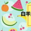 白羊速配星座（速配星座）