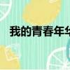 我的青春年華作文700字（我的青春年華）