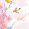 班歌背包（班歌）