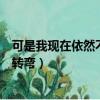 可是我現在依然不太會轉彎王貳浪（可是我現在依然不太會轉彎）