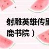 射雕英雄傳里的白雕是誰養的（射雕英雄傳白鹿書院）