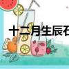 十二月生辰石是什么寶石（十二月生辰石）