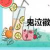 鬼泣徽章選擇（鬼泣95a選擇）