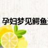 孕婦夢見鱷魚追咬自己（夢見鱷魚追咬自己）