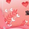 寶馬5系（寶馬645）
