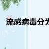 流感病毒分為幾型啊（流感病毒分為幾型）