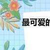 最可愛的狗前十名（最可愛的狗）
