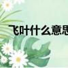 飛葉什么意思網絡用語（飛葉是什么意思）