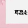 葛溫走了之后在哪兒找（葛溫）