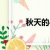 秋天的心情詞語（秋天的心情）