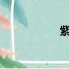 紫光展銳（紫光5 0）