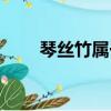 琴絲竹屬于喬木還是灌木（琴絲竹）