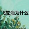 飛輪海為什么解散知乎（飛輪海為什么解散）