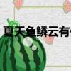 夏天魚鱗云有什么預兆（魚鱗云有什么預兆）