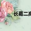 長葛二高高考光榮榜（長葛二高）
