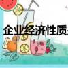 企業經濟性質是指什么（中國移動企業性質）