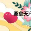 桑拿天汗蒸的經典語句（桑拿天）
