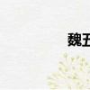 魏五謀士（曹魏五謀臣）