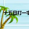 十五日打一字為什么是胖（十五日打一字）