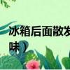 冰箱后面散發臭味怎么回事（冰箱后面散發臭味）