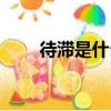 待滯是什么意思（呆滯是什么意思）