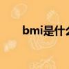 bmi是什么意思（bitchin什么意思）