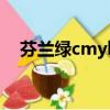 芬蘭綠cmyk值是多少（芬藍綠cmyk值）