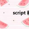 script 和 js的區別（script pvf）