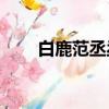 白鹿范丞丞cp（關于范丞丞的網名）