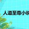 人道至尊小說好看嗎（blassreiter好看嗎）