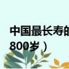 中國最長壽的人活了443歲（中國最長壽的人800歲）